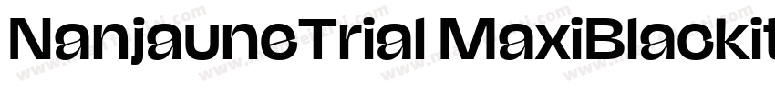 NanjauneTrial MaxiBlackitalic字体转换
